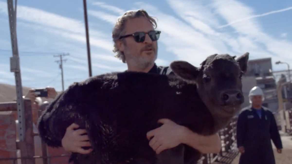 Joaquin Phoenix Saves Mama Cow and Her Calf After Oscars Speech