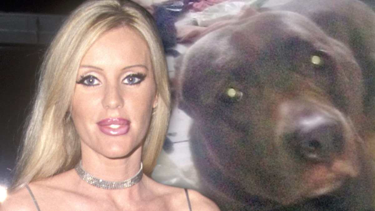 Beverly Hills Cop Actress Giving Pit Bull New Home After Mauling